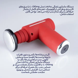 ماساژور برقی لایچی مدل L-010MG 102829979